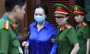 Tòa tuyên án bà Trương Mỹ Lan